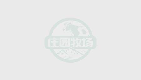关于庄园